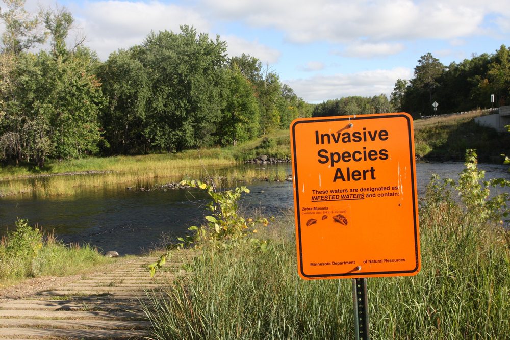 new invasive species