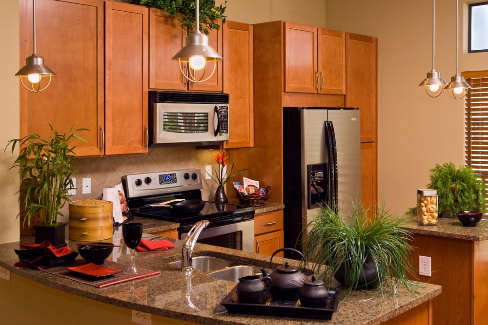 worst places for houseplants