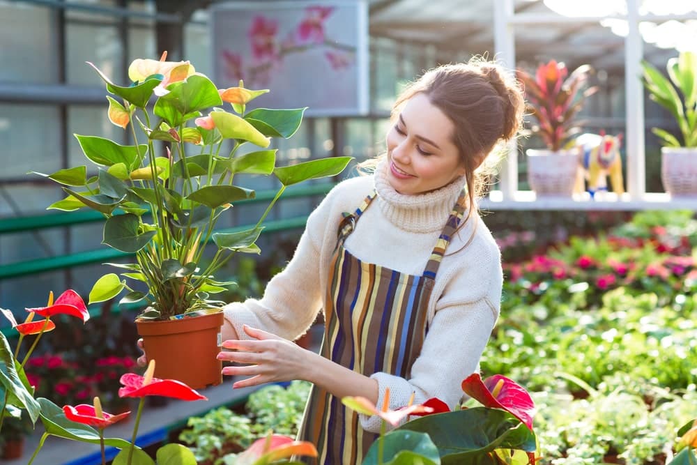 garden trends