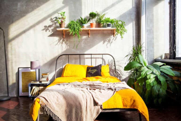 plants for your bedroom