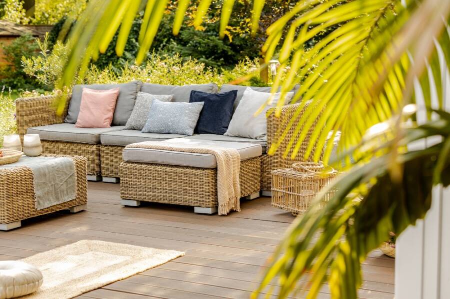 backyard trends