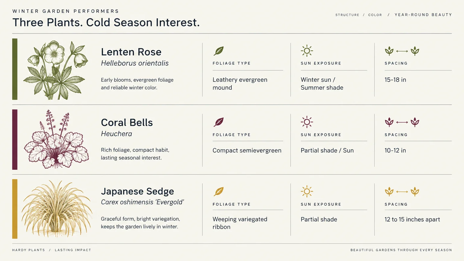 Chart detailing foliage, sun exposure, and spacing requirements for Lenten Rose, Coral Bells, and Japanese Sedge.